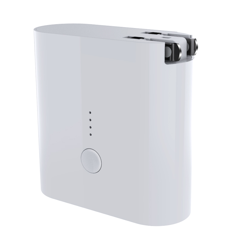 2 in1 Wall Charger & Power Bank